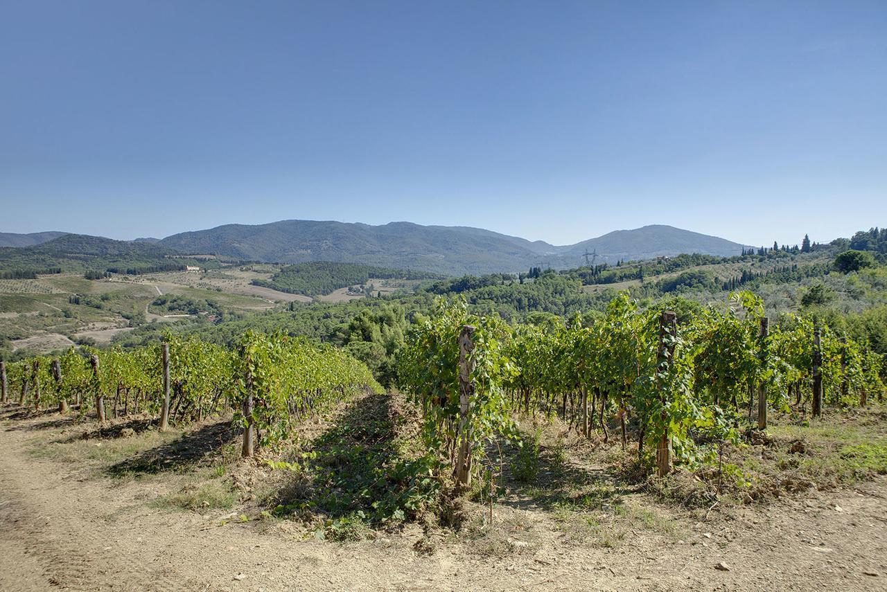Agriturismo La Presura Strada in Chianti Eksteriør billede